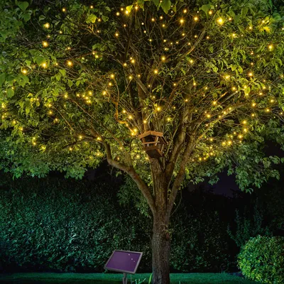Produktbild von esotec Solar Lichterkette mit 200 warmweißen LEDs wetterfest 102570
