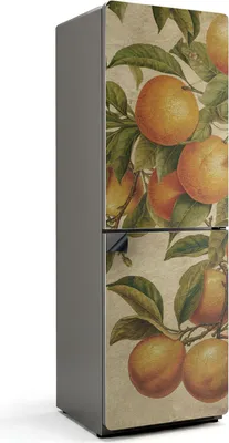 Zdjęcie produktu dla Owoce na gałęzi - osłona magnetyczna na lodówkę - folia dekoracyjna magnetyczna do kuchni - dekoracja magnetyczna na lodówkę - samoprzylepna tablica magnetyczna - folia magnetyczna na drzwi lodówki - 60x180 cm