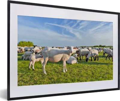 Produktbild von MuchoWow® Gerahmtes Poster Schafe - Weiß - Wolle 60x40 cm - Poster mit Schwarzem Bilderrahmen Wandposter Rahmen Foto Bilder - Schlafzimmer - Plakat in Rahmen - Drucken