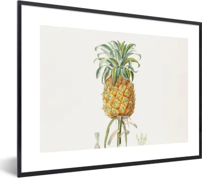 Produktbild von MuchoWow® Gerahmtes Poster Ananas - Obst - Vintage 40x30 cm - Poster mit Schwarzem Bilderrahmen Wandposter Rahmen Foto Bilder - Kunstposter - Wanddekorationen