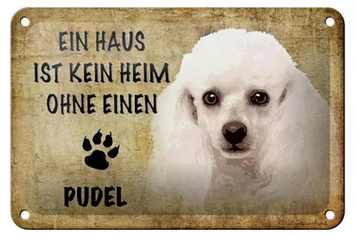 Produktbild von Blechschild Spruch 18x12cm Pudel Hund ohne kein Heim