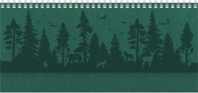 A silhouette of a forest scene with various animals and birds.