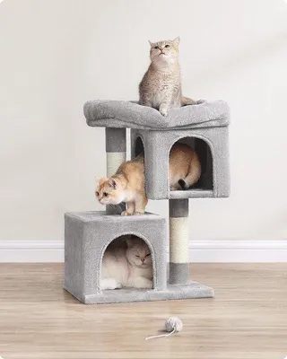 Image de Arbre à chat, pour faire ses griffes, se détendre, plateformes