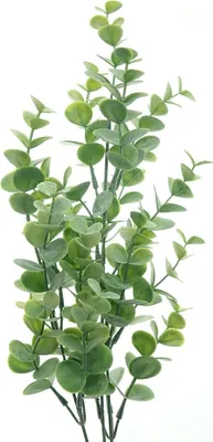 Produktbild von GASPER Eukalyptuszweig Grau-Grün 68 cm - Kunstblumen