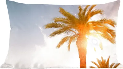 Produktbild von MuchoWow® Zierkissen Sofakissen Wohnzimmer Dekokissen 50x30 cm Palme - Sommer - Sonne - Tropisch - Wohnzimmerdekoration - Polster mit Photo