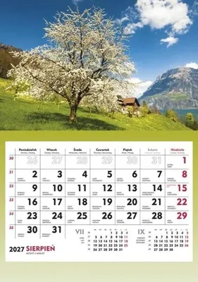 Image de Calendrier mural 2025 : "L'été en montagne" - Michalczyk et Prokop