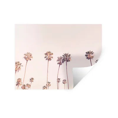 Produktbild von MuchoWow® Wandtattoo Wandsticker Wandaufkleber Palmen - Sonne - Natur - Himmel 120x90 cm Selbstklebend und Repositionierbar - Aufkleber