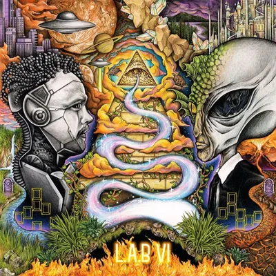 Immagine prodotto di L.a.b: L.a.b. Vi (180G)