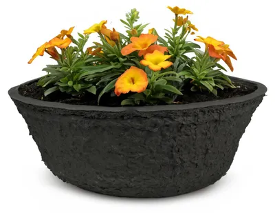 Immagine prodotto di Fioriera per esterni, biodegradabile, rotonda 19 cm