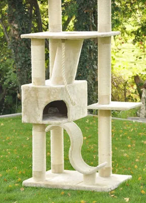 Produktbild von Kratzbaum Sigurd 6 - beige - deckenhoch 11 cm Kratzstämme