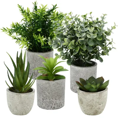 Produktbild von 5 künstliche Mini-Pflanzen: Schlangenhaarfarn, Agave, Sukkulente, Adlerklauen-Aloe, künstliche Pflanzen für Schlafzimmer- und Bürodekoration