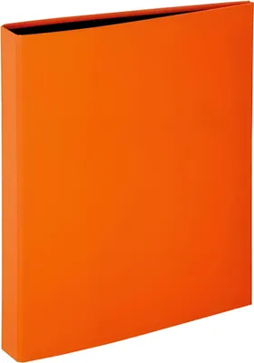 Immagine prodotto di Pagna® 20607-09 Raccoglitore ad anelli Basic Colours - A4, 2 anelli, Ø 20 mm, arancione(P)