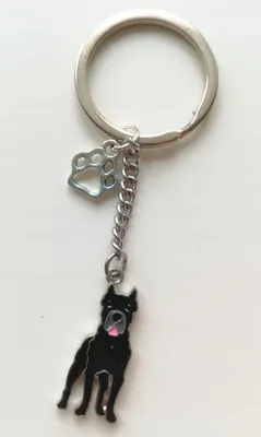 Produktbild von Schlüsselanhänger Schlüsselanhänger Dutche Dog