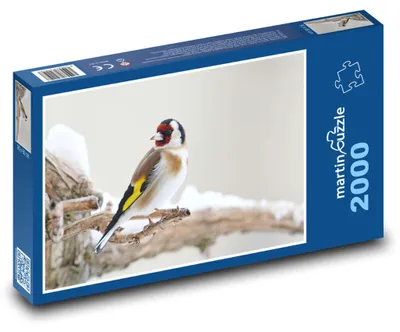 Obrázok produktu pre martinpuzzle - Puzzle 2000 - Stehlík - vták