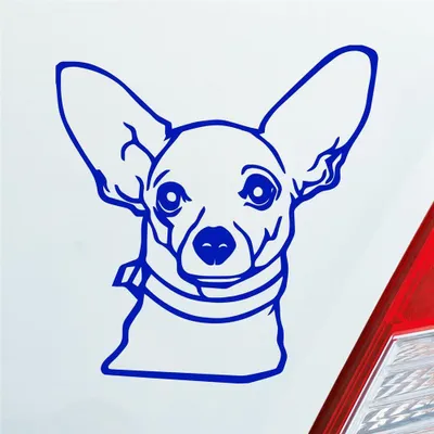 Produktbild von Auto Aufkleber Chihuahua Hund Dog Animal Tier Car 10x10 cm Dunkelblau Sticker Heckscheibenaufkleber