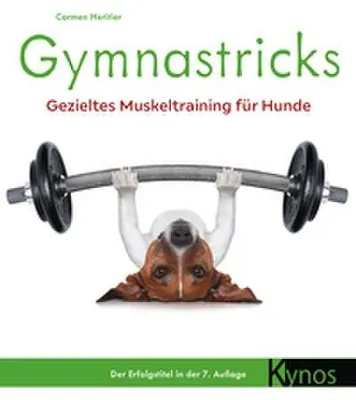 Produktbild von Gymnastricks