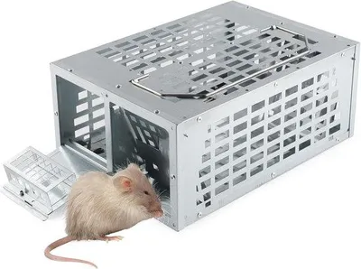 Produktbild von Famanu Rattenfalle große wiederverwendbare mit doppelter Köderzone - sicher für Kinder und Tiere