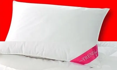 Produktbild von Badenia Trendline Basic 40x80 cm Kopfkissen