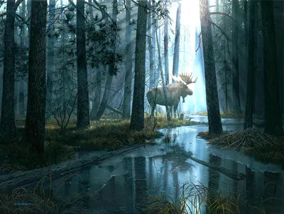 Immagine prodotto di SunsOut Puzzle XXL Caught by Light 300 Teile Puzzlespiel