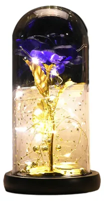 Produktbild von Rose, Rose für Ehefrau und Mutter, Rose in Glaskuppel, Geschenke zum Jahrestag oder Geburtstag für Frauen, Lichter und Blumen