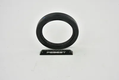 Produktbild von Febest 95Gay-55741010R