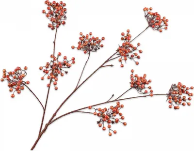 Produktbild von Silk-ka Kunstblume-Seidenblume-Kunstzweig Beerenzweig Orange 96 cm