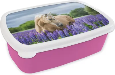 Produktbild von KitchenYeah® Lunchbox Brotzeit Brotdose 17x11 cm Pferd - Blumen - Lila Kinder Brotzeitdose - Lunchpaket - Brotkasten  - Sandwich Box