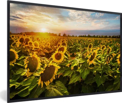 Produktbild von MuchoWow® Gerahmtes Poster Blumen - Sonnenblume - Himmel 30x20 cm - Poster mit Schwarzem Bilderrahmen Wandposter Rahmen Foto Bilder - Kunstdruck - Bild-Poster