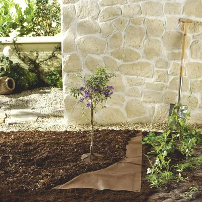 Produktbild von Mulch Vlies, 10 x 1.5 m,70 g/m², braun