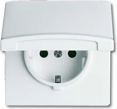 Zdjęcie produktu dla Busch-Jaeger 2CKA002064A0289, Niebieski, Termoplastyczny, Bezśrubowe, Busch-Jaeger, Matowy, IP44