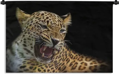 Produktbild von MuchoWow® Wandteppich Wandbehang Leopard - Tiere - Schwarz 150x100 cm Tapisserie Dekoration Wandtuch - Waschbar - Tapisserien - Wand-Decke