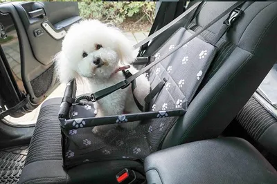 Immagine prodotto di Trasportino trasportino per cani gatti