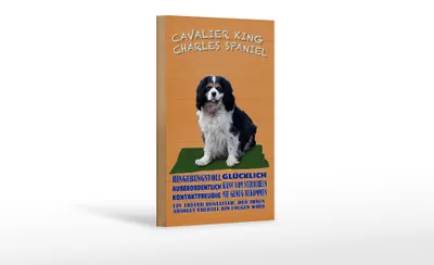 Produktbild von Holzschild Spruch 12x18cm Cavalier King Charles Spaniel orange