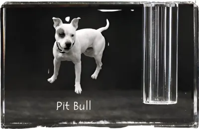 Produktbild von Pit Bull, American Pit Bull Terrier, Pitbull, APBT - Stifthalter, Kristallorganizer mit Hundefoto, einzigartige Schreibtischdekoration der Marke Art-Dog