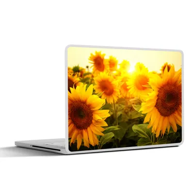 Produktbild von MuchoWow® Laptop Aufkleber Sticker Cover Sonnenblume - Gelb - Blumen - Sonne 25x18 cm - Laptop-Deko