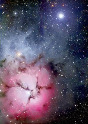 Produktbild von ENJOY Puzzle Nebula Trifid 1000 Teile