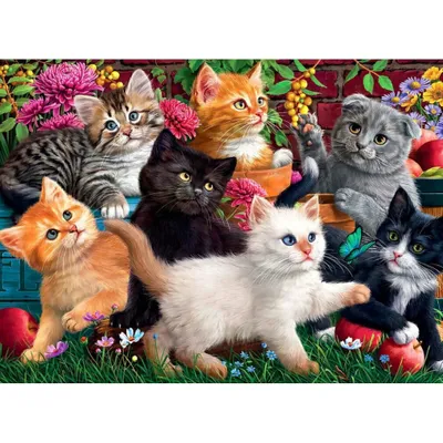 Image de ANATOLIAN Puzzle Divergent Kittens 260 pièces