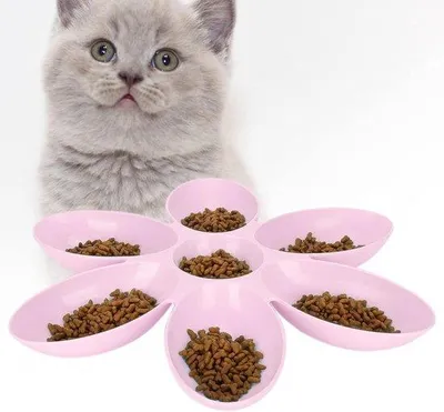Image de Gamelles pour chats en forme de fleur, roses, pour plusieurs animaux