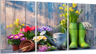 Produktbild von Glasschutzplatte für Herd 3x30x52