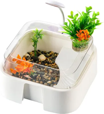 Produktbild von Schildkröten-Aquarium – Reptilien-Gehege – Tierunterbringung – Ausbruchssichere Wände – 30x26x16 cm – Schwarz