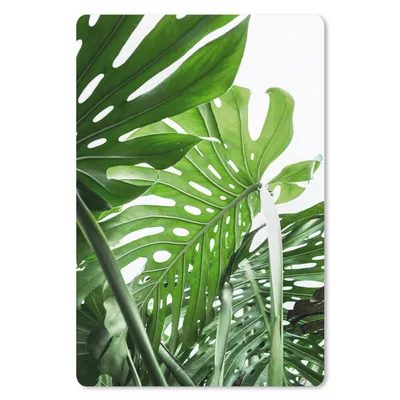 Produktbild von MuchoWow® Mauspad Mousepad Pflanzen - Grün - Dschungel - Natur 18x27 cm - Mousepads - Maus Mat - Pad - Mausunterlage