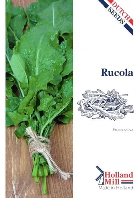 Imagen del producto de Holland Mill: Rúcula - 1 paquete de semillas