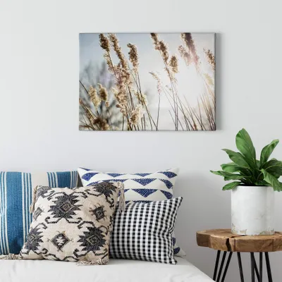 Leinwandbild Herbe de la Pampa 70x50 cm Blau-Beige