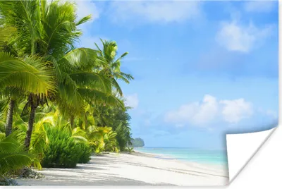 Produktbild von MuchoWow® Poster Palme - Tropisch - Insel 30x20 cm - Plakate - Print