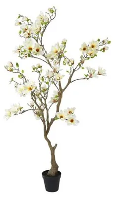 Image de Plante artificielle Countryfield Magnolia – Blanc – Ø 50 cm – Hauteur 210 cm