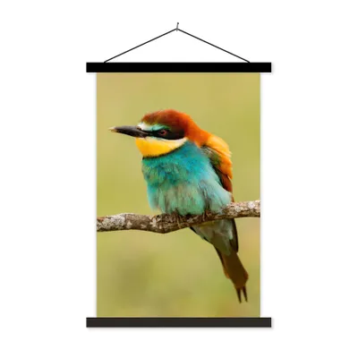 Produktbild von MuchoWow® Textilposter Vogel - Bienenfresser - Tiere 60x90 cm mit schwarzem Rahmen - Poster Wohnzimmer