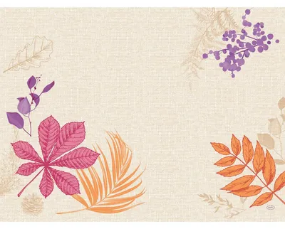 Produktbild von 1000x DUNI Papier-Tischset 30 x 40 cm Bright Autumn