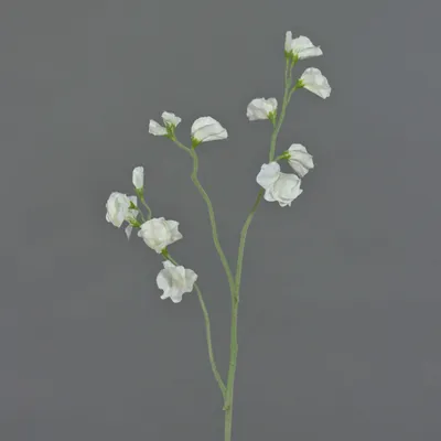 Produktbild von artplants.de Kunstblume Lathyrus ASFALOTH, weiß, 65cm - Deko Blumen/Textilblumen