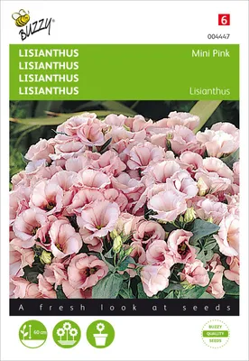 Produktbild von Lisianthus Mini Rosa | Lisianthussamen von Buzzy Seeds