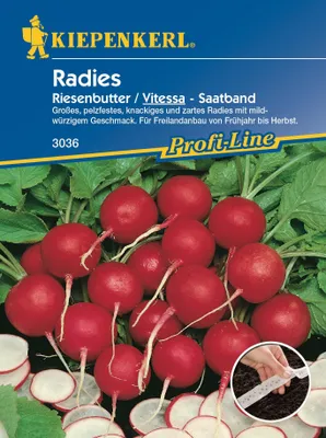 Produktbild von [STREICHUNG 2025] Radies Vitessa, Riesenbutter (Saatband) | Radieschensamen von Kiepenkerl